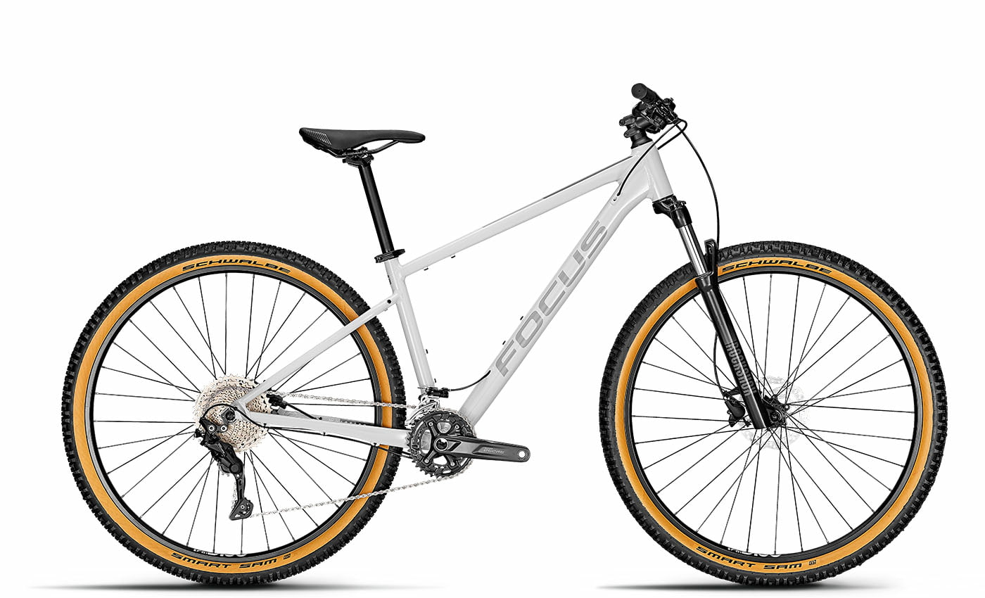 Focus Whistler 3.8 Light Grey - 29 Zoll - Diamant (2022)