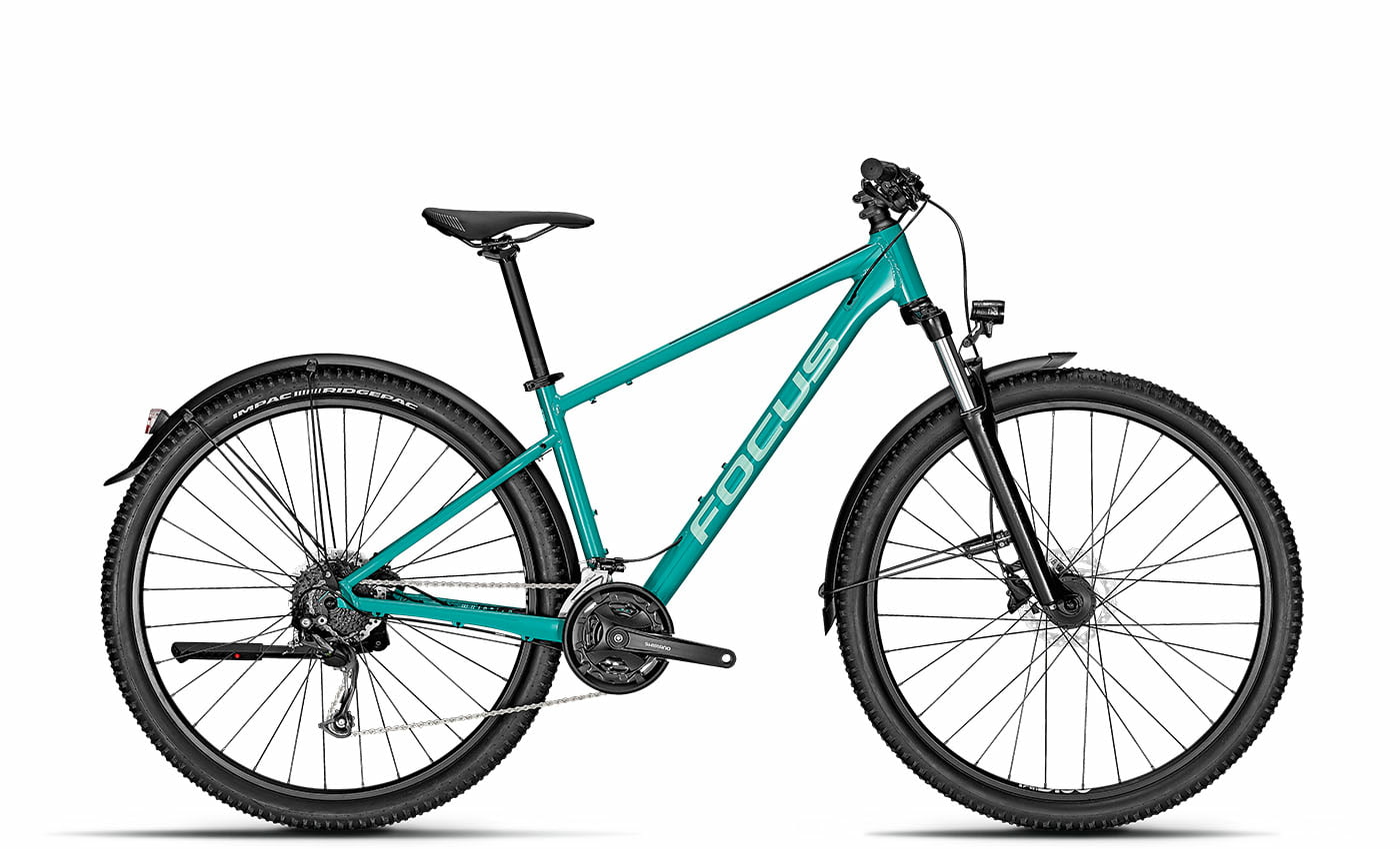 Focus Whistler 3.6 EQP Bluegreen - 29 Zoll - Diamant (2025)
