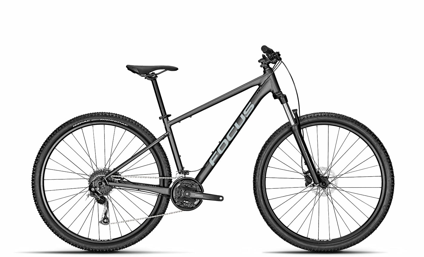 Focus Whistler 3.6 Slategrey - 29 Zoll - Diamant (2025)