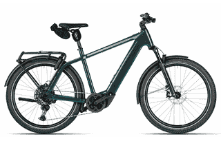 Riese & Müller Charger5 touring - 27,5 Zoll 800Wh 11K Diamant - pine