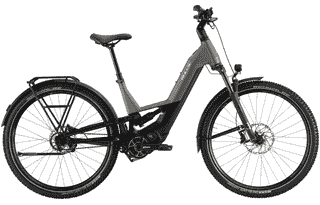 BULLS VUCA EVO FS 1 - 29 Zoll 800Wh Pinion Fully-Tiefeinstieg - slab grey-matt/graphite black