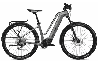 FLYER Goroc2 2.10 - 29 Zoll 750Wh 10K Wave - Cast Silver Black Gloss