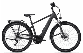 PEGASUS Savino Evo 10 CX - 28 Zoll 625Wh 10K Diamant - grey matt