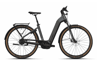 Flyer Gotour 5.23 CX - 29 Zoll 750Wh Enviolo Wave - Cold Anthracite Gloss