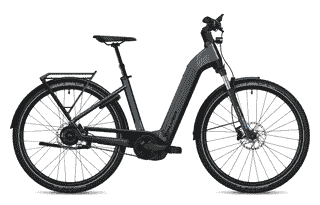 Flyer G1 Gotour 5.43 CX - 29 Zoll 750Wh 5N Wave - Cold Anthracite Gloss