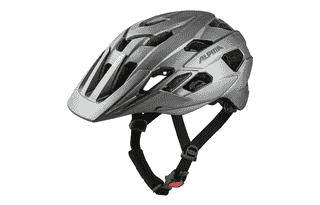 Alpina ANZANA L.E. - darksilver