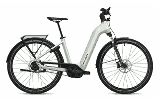 Flyer Gotour 5.43 CX - 29 Zoll 750Wh 5N Wave - Frosty Sage Gloss