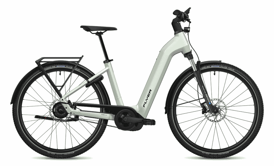 Flyer Gotour 5.43 CX - 29 Zoll 750Wh 5N Wave - Frosty Sage Gloss