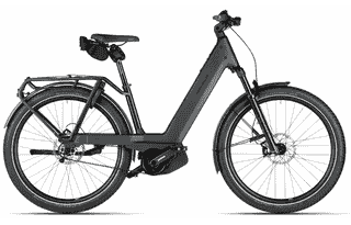 Riese & Müller Nevo5 pinion - 27,5 Zoll 800Wh Pinion E1.12 Wave - slate grey