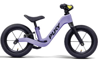 lavender black