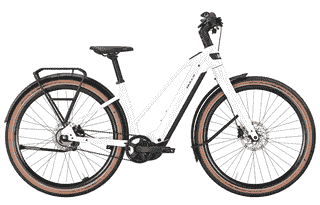BULLS STURMVOGEL EVO - 29 Zoll 800Wh 5N Trapez - metallic off-white