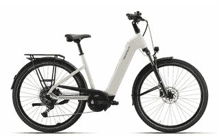 Pegasus Solero EVO 10 - 28 Zoll 600Wh 11K Wave - kieselgrey