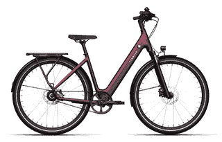 Tenways CGO800S - 28 Zoll 460Wh 1N Wave - wild berry