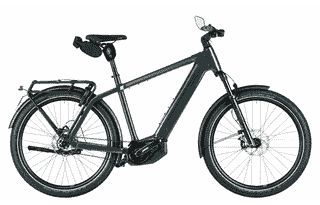 Riese & Müller Charger5 pinion HS Testrad - 27,5 Zoll 800Wh Pinion 1.12S Diamant - Pine