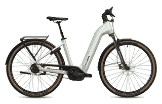 Flyer G1 Gotour 5.23 CX - 29 Zoll 750Wh Enviolo Wave - Frosty Sage Gloss