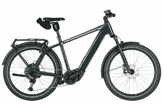 Riese & Müller Charger5 touring Testrad - 27,5 Zoll 800Wh 11K Diamant - pine