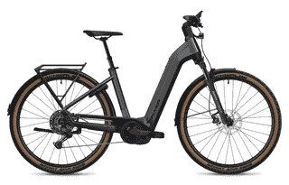 Flyer Gotour 5.12 CX - 29 Zoll 750 Wh 10K Wave - Cold Anthracite Gloss