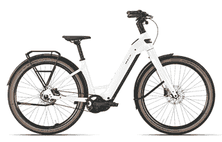 BULLS STURMVOGEL EVO - 29 Zoll 800Wh 5N Wave - metallic off-white
