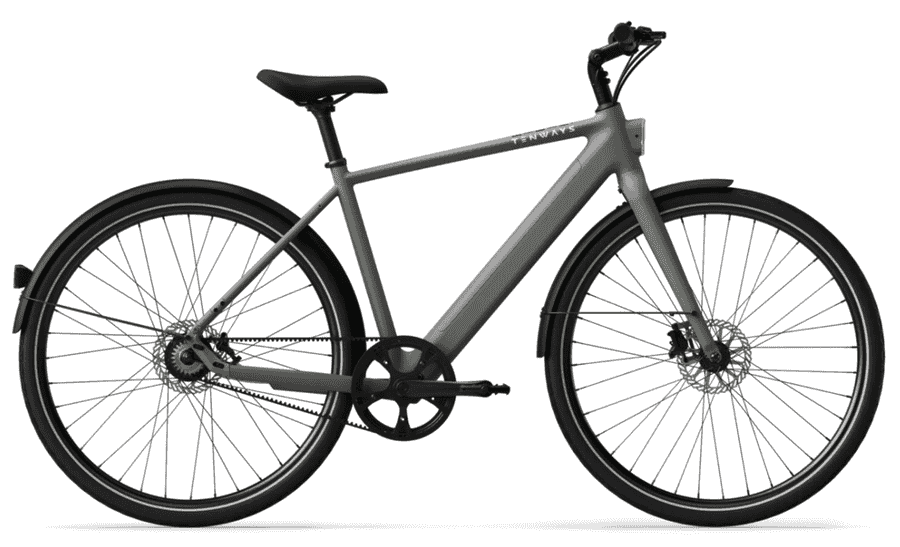 Tenways CGO600 PRO V1 - 28 Zoll 360Wh 1N Diamant - Willow Mist