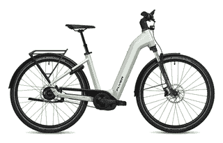 Flyer G1 Gotour 5.43 CX - 29 Zoll 750Wh 5N Wave - Frosty Sage Gloss