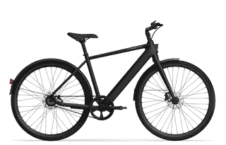 Midnight Black
