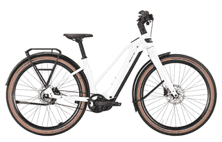 BULLS STURMVOGEL EVO - 29 Zoll 800Wh 5N Wave - metallic off-white