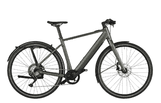 Riese und Müller UBN Five touring - 28 Zoll 430Wh 11K - selva