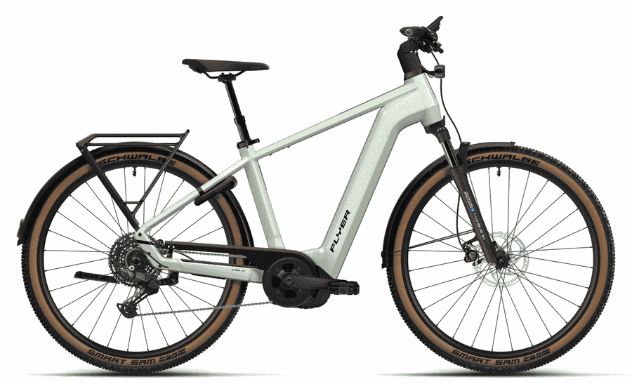 Flyer Gotour 5.12 CX - 29 Zoll 750Wh 10K Diamant - Frosty Sage Gloss