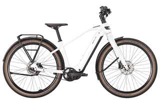BULLS STURMVOGEL EVO - 29 Zoll 800Wh 5N Diamant - metallic off-white