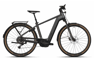 Flyer Gotour 5.12 CX - 29 Zoll 750Wh 10K Diamant - Cold Anthracite Gloss