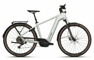 Flyer Gotour 5.12 CX - 29 Zoll 750Wh 10K Diamant - Frosty Sage Gloss