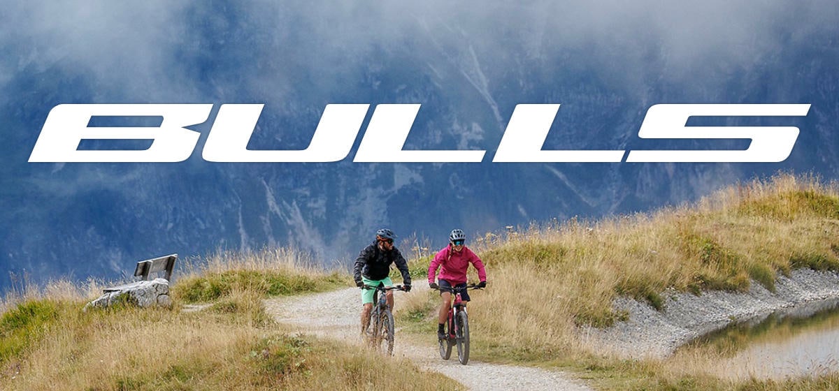 Bulls Banner