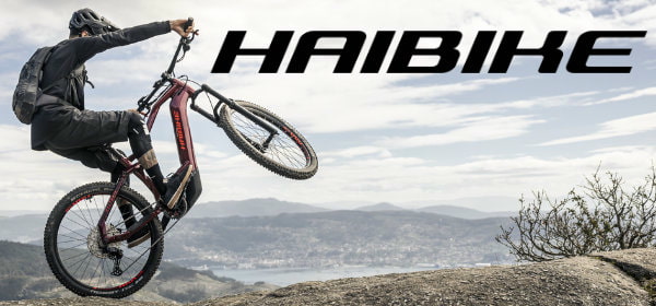 Haibike Banner