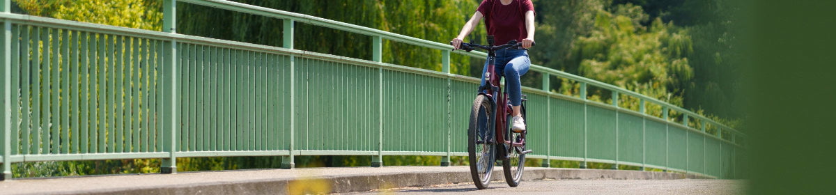Trekking E-Bikes