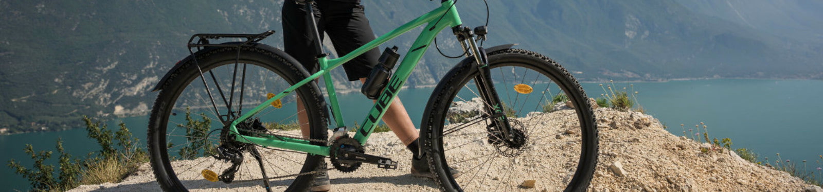 Hardtail