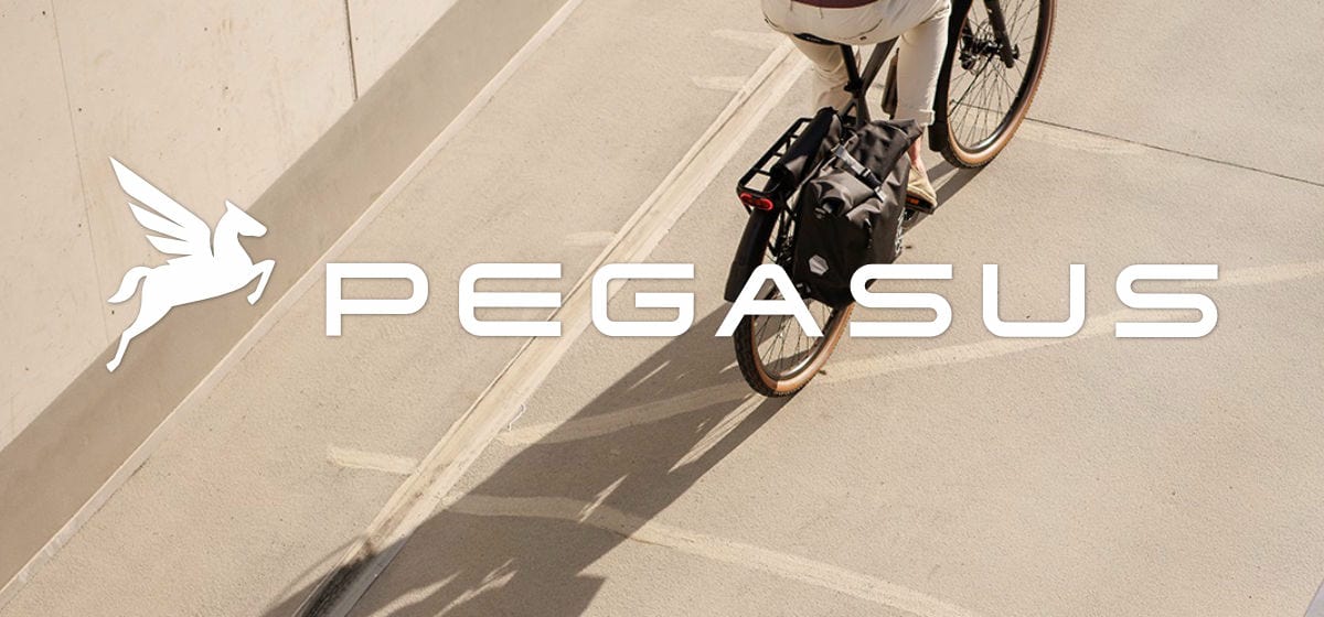 Pegasus Banner