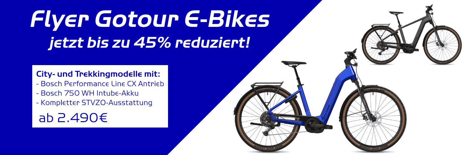 Flyer Gotour Banner