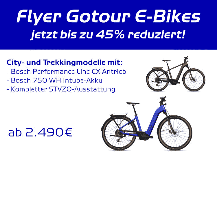 Flyer Gotour Banner
