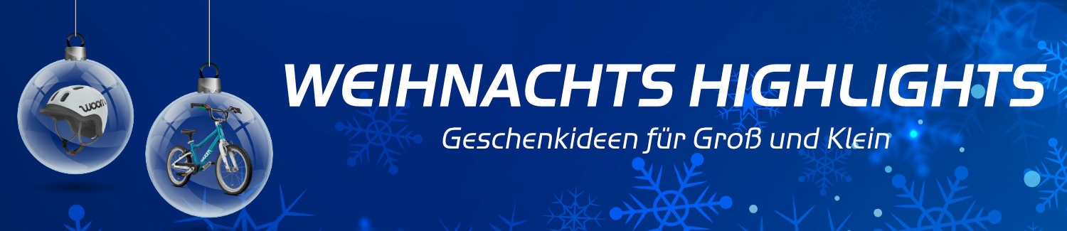 X-Mas Sale bei ebike-24.com
