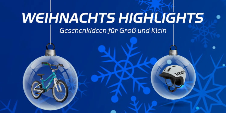 X-Mas Sale bei ebike-24.com